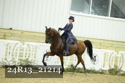 24R13_21214 thumbnail