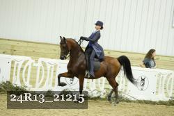 24R13_21215 thumbnail