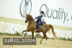 24R13_21216 thumbnail