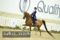 24R13_21218 thumbnail