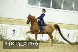 24R13_21219 thumbnail