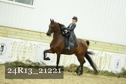 24R13_21221 thumbnail