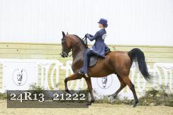 24R13_21222 thumbnail