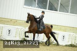 24R13_21223 thumbnail