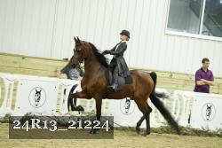 24R13_21224 thumbnail