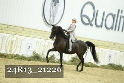 24R13_21226 thumbnail