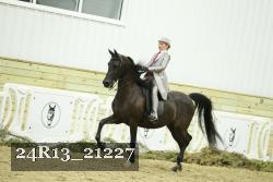 24R13_21227 thumbnail