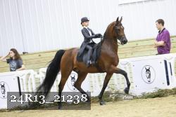24R13_21238 thumbnail