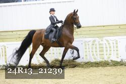 24R13_21239 thumbnail