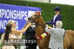 24R13_21251 thumbnail