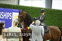 24R13_21258 thumbnail