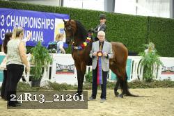 24R13_21261 thumbnail