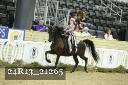 24R13_21265 thumbnail