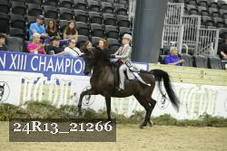 24R13_21266 thumbnail