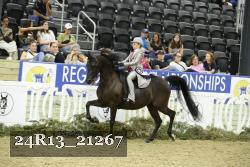 24R13_21267 thumbnail