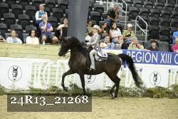 24R13_21268 thumbnail