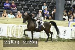 24R13_21269 thumbnail