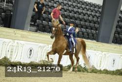 24R13_21270 thumbnail