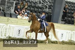 24R13_21271 thumbnail