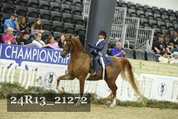 24R13_21272 thumbnail