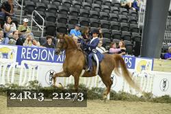 24R13_21273 thumbnail