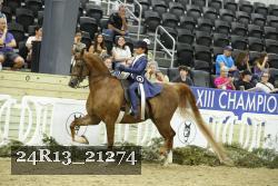 24R13_21274 thumbnail