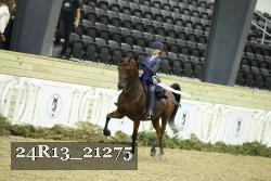 24R13_21275 thumbnail