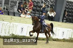 24R13_21276 thumbnail