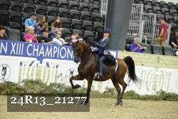 24R13_21277 thumbnail