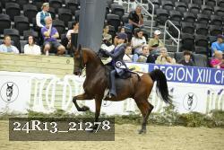 24R13_21278 thumbnail