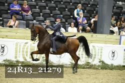 24R13_21279 thumbnail