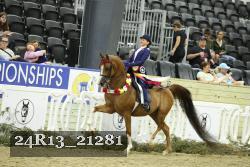 24R13_21281 thumbnail