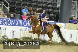 24R13_21282 thumbnail