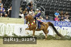 24R13_21283 thumbnail