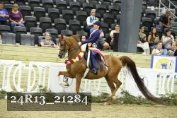 24R13_21284 thumbnail