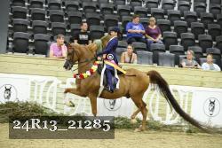 24R13_21285 thumbnail