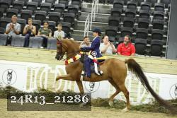 24R13_21286 thumbnail
