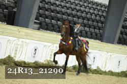 24R13_21290 thumbnail
