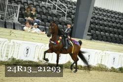 24R13_21293 thumbnail