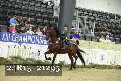24R13_21295 thumbnail