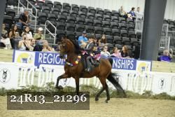 24R13_21296 thumbnail
