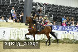 24R13_21297 thumbnail