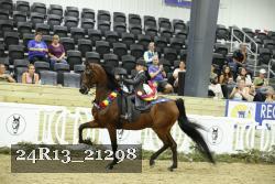 24R13_21298 thumbnail