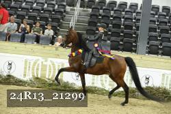 24R13_21299 thumbnail