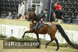 24R13_21300 thumbnail