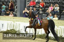 24R13_21303 thumbnail