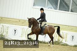 24R13_21316 thumbnail
