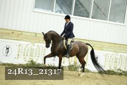 24R13_21317 thumbnail