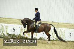 24R13_21319 thumbnail