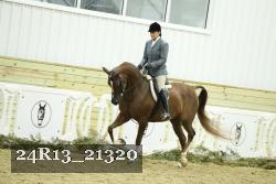 24R13_21320 thumbnail